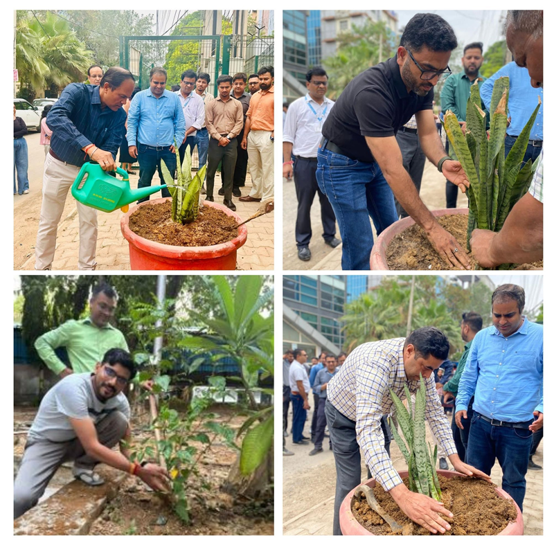 A tree plantation derive at RailTel